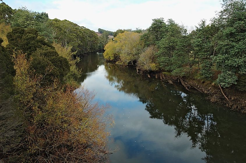View of the Forth River in Tasmania.