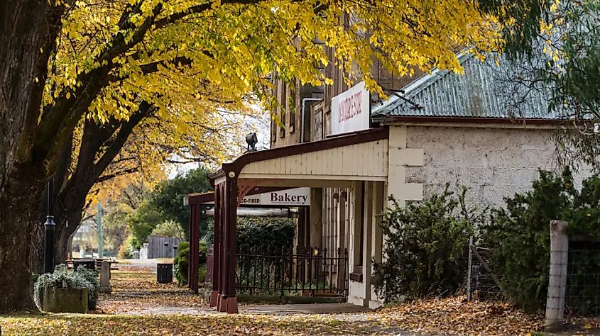 Bakery31 in Ross, Tasmania, Australia