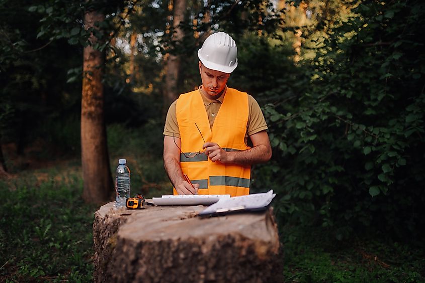Forest engineer wearing safety helmet and vest taking notes in the forest using a tree trunk as a desk. Via Shutterstock / Vukasin Ljustina