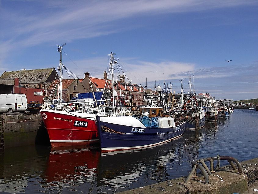Fishing boats moored in Eyemouth Harbour on the Berwickshire coast.
