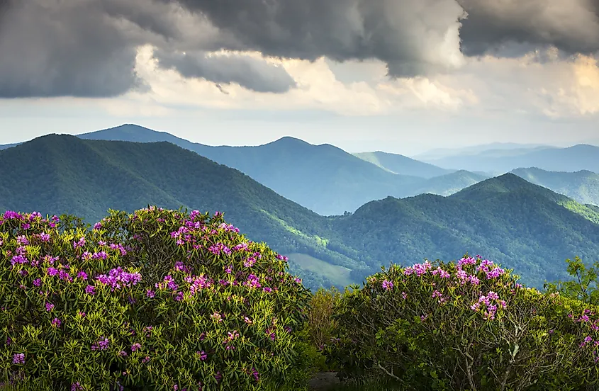 Rugged, forested ridges of the Appalachian Mountains.