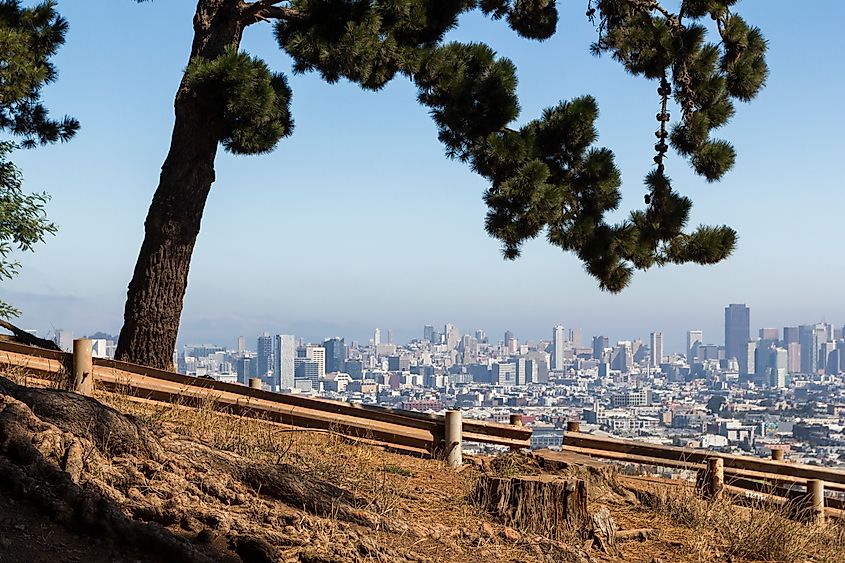 A hill at bernal heights in san Francisco after to sunrise, California.