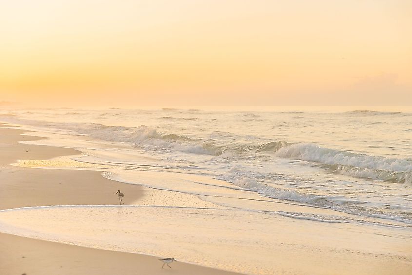 A scenic view of a sandy beach against the seascape at sunset in Fort Morgan, Alabama.