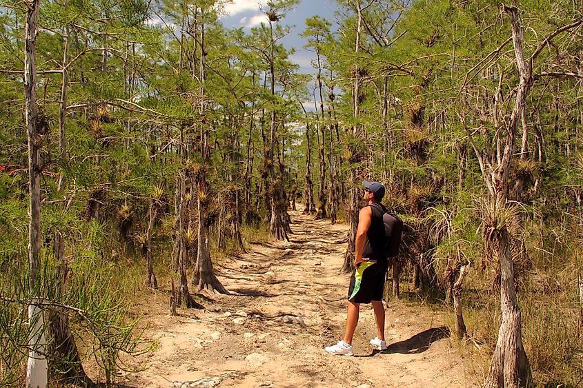 Big Cypress national preserve