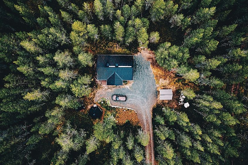 List of 5 Countries with Largest Forests in the World, by Yanuar Hadi