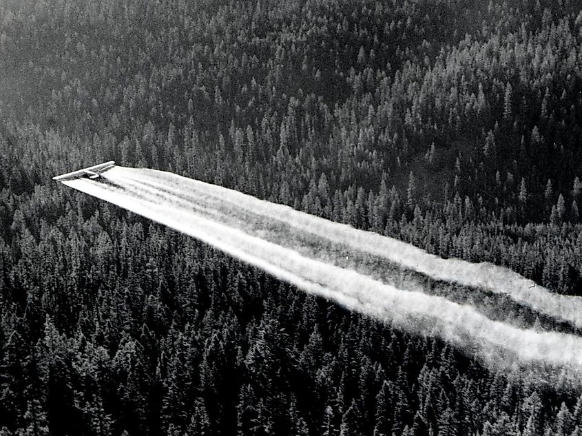 An airplane spraying DDT over Baker County, Oregon as part of a spruce budworm control project in 1955