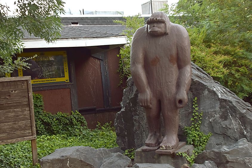 Willow Creek, California, is the Bigfoot capital of the world