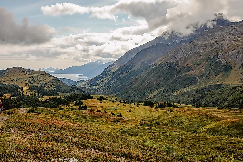 Valley overlooking Seward. Beautiful hike on lost lake trail in the Chugach National Forest.