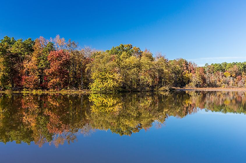 Fall colors at the Petit Jean State Park, Arkansas.