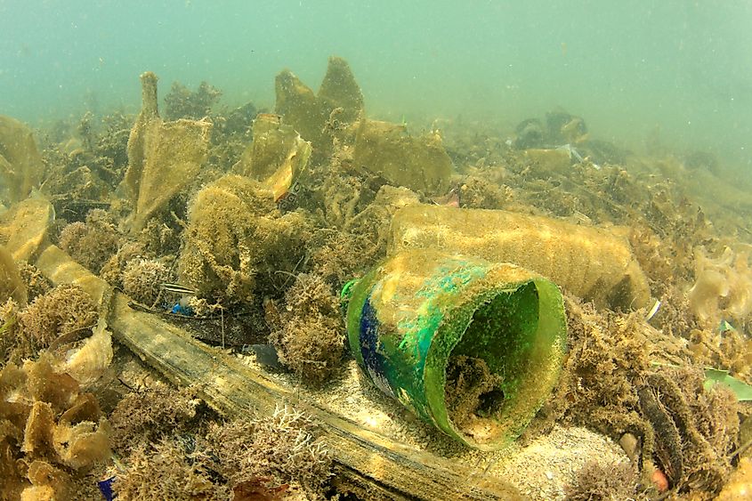 Plastic pollution in ocean