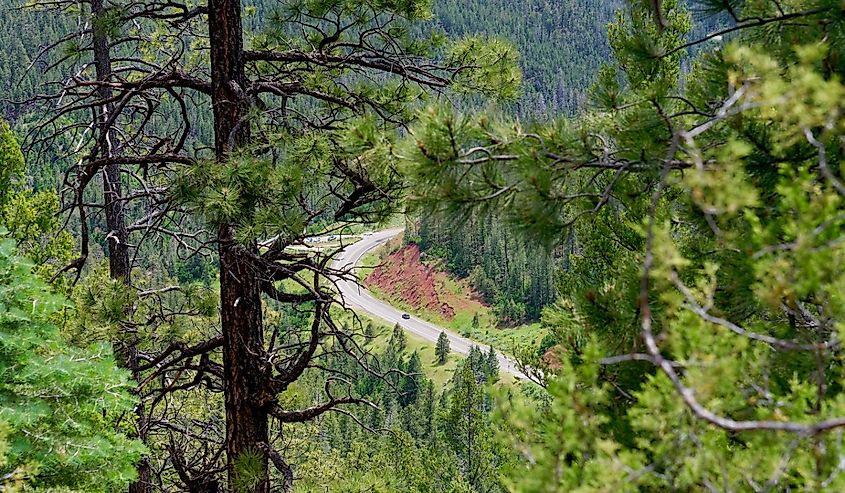 Jemez Mountain Trail Scenic Byway near Valles Caldera, New Mexico.