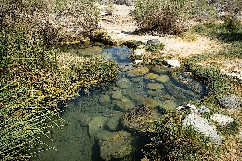 The natural hot springs at Saline Valley in Death Valley National Park.