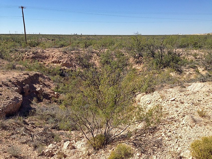 Small Odessa Meteor Crater in Texas.