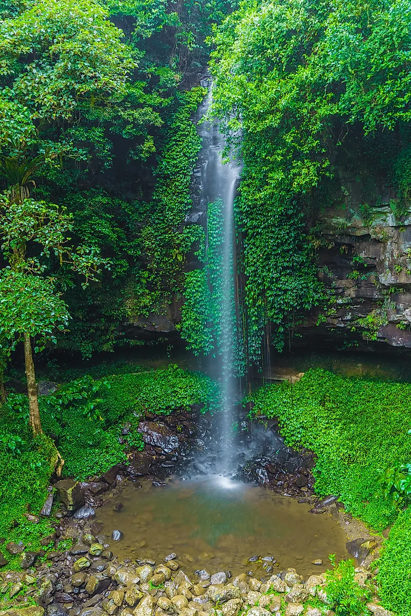 Waterfall cascading into a small pool surrounded by dense green rainforest.