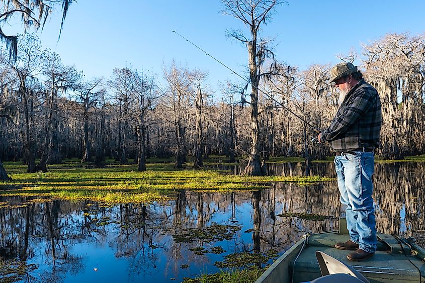 Fisherman at Caddo Lake, Texas
