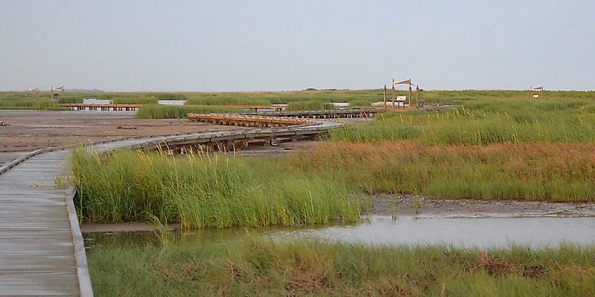 Sea Rim State Park, Gambusia Nature Trail Boardwalk, Texas. Credit: William L. Farr, CC BY 4.0 <https://creativecommons.org/licenses/by/4.0>, via Wikimedia Commons