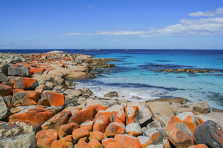 Bay of Fires