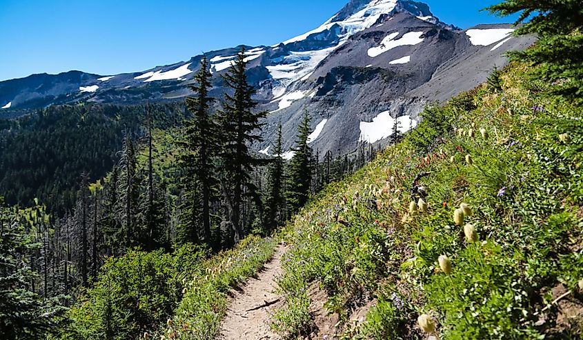 A scenic section of the Timberline Trail on Mount Hood, in Oregon.