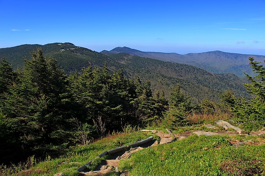 Scenery from Mount Mitchell State Park, North Carolina.