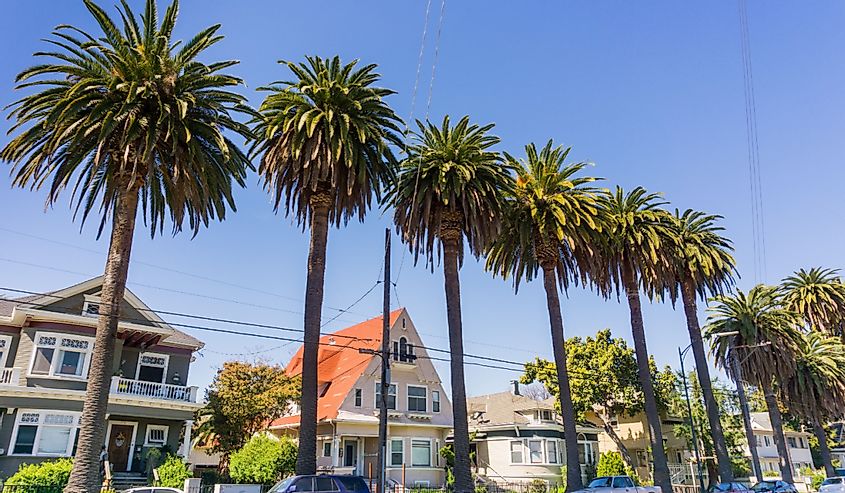 Старые дома и пальмы на улице в центре города Сан-Хосе, Калифорния