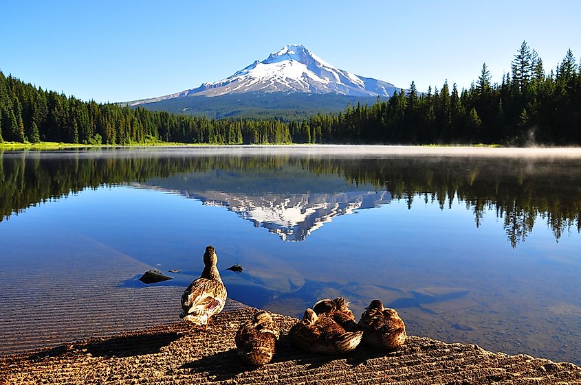 Mount Hood, the tallest mountain found in Oregon.