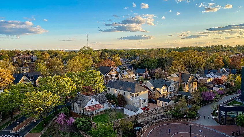 An aerial view of Chevy Chase, a wealthy suburban neighborhood in Bethesda, Maryland - Nicole Glass Photography