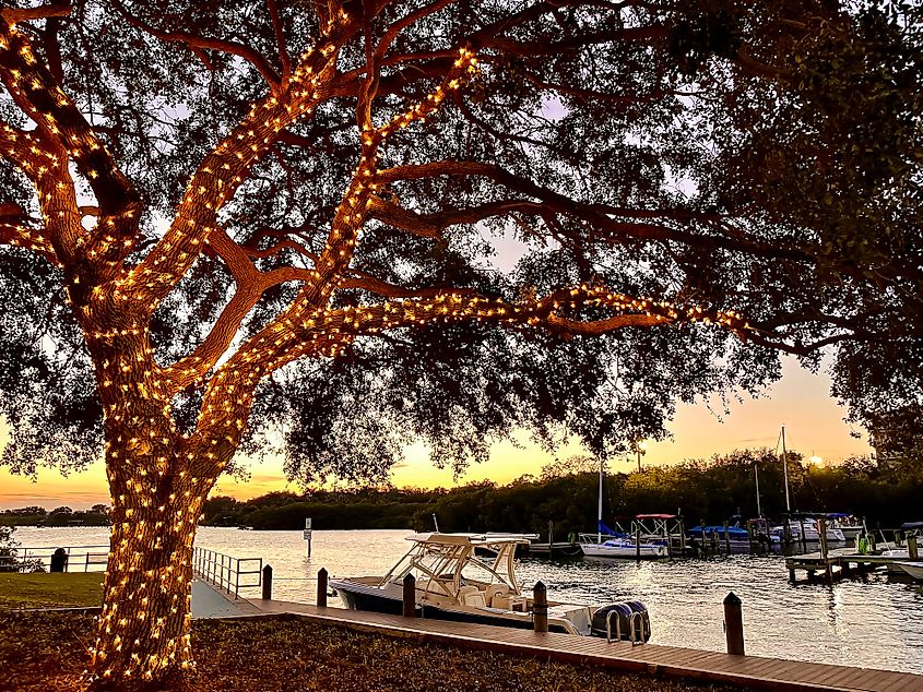 The marina at Safety Harbor, Florida.