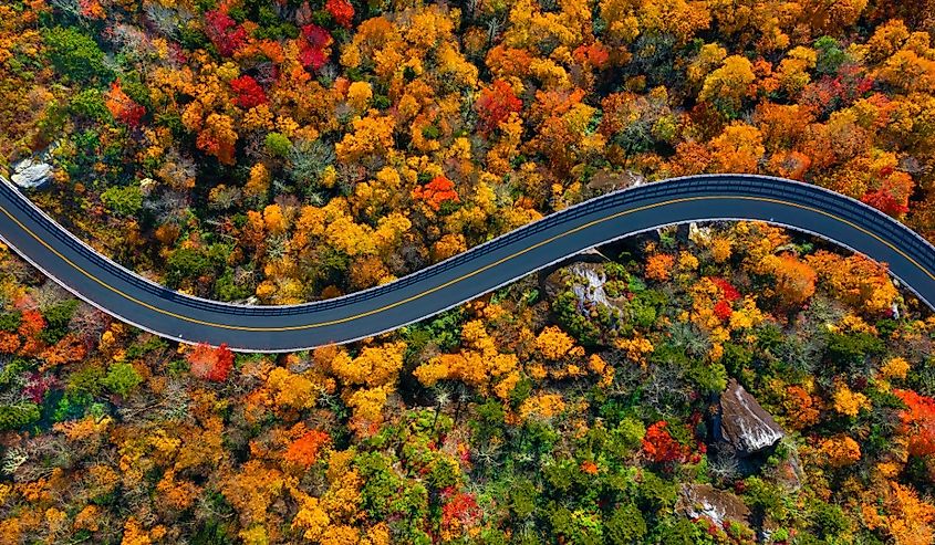 Road through the Blue Ridge Parkway mountains of North Carolina during the Fall.