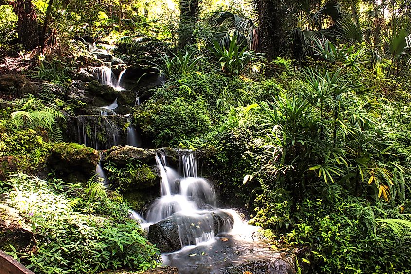 Waterfall at Rainbow Springs State Park, Dunnellon.