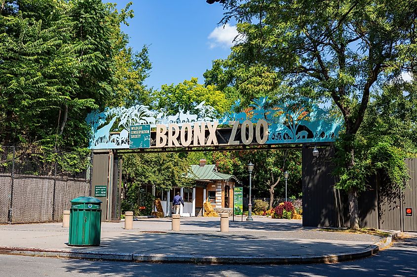 Sunny exterior view of the Bronx Zoo