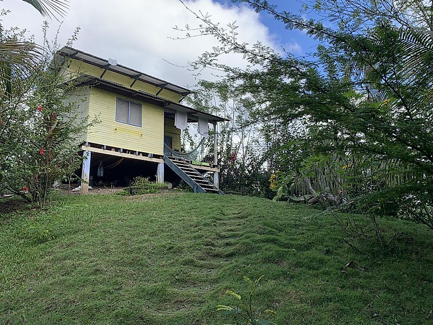 A yellow wooden house on top of a small hill in a lush, green yard. 