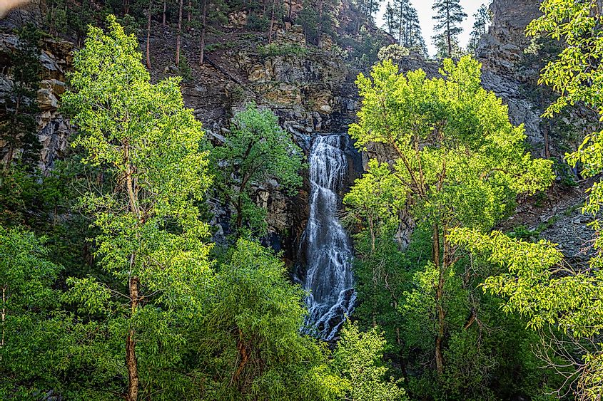 Bridal Veil Falls along the Spearfish Canyon Scenic Byway in the Black Hills National Forest
