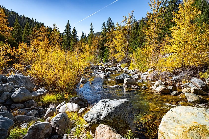 Fall on the North Yuba River