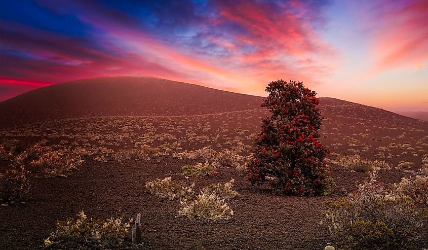 Hawaii Volcanoes National Park, on Hawaii Island (the Big Island)