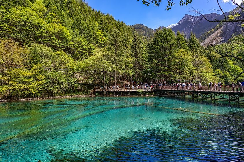 Jiuzhaigou is a nature reserve and national park located in the north of Sichuan, China.