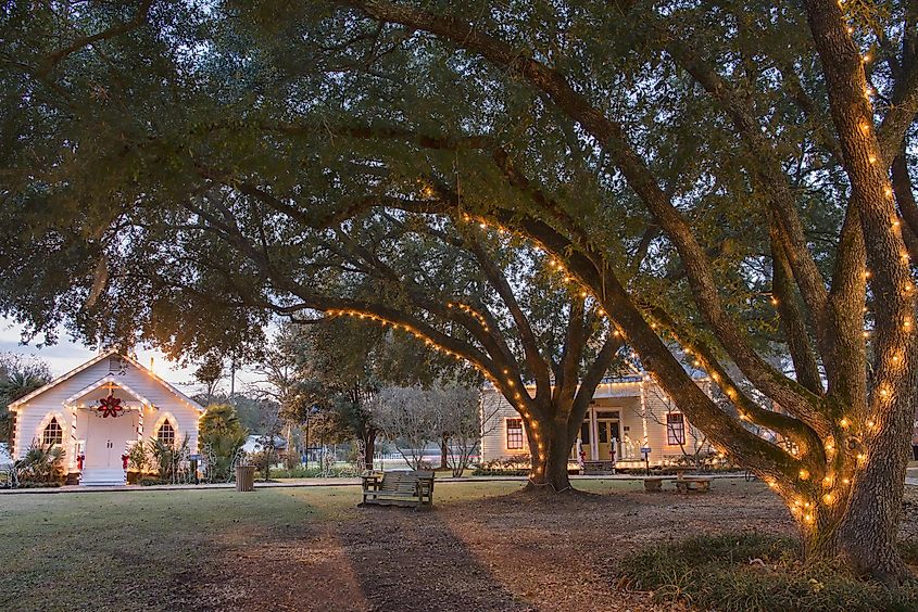 Christmas Time Under the Lighted Oaks at Vieux Village in Opelousas, Louisiana.