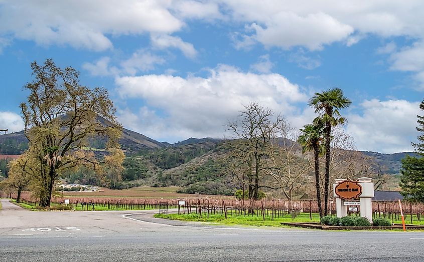 The entrance to the Chateau St Jean vineyard at 8555 Sonoma Highway in winter