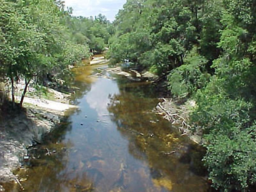The Alapaha River in Statenville, Georgia, during a period of drought