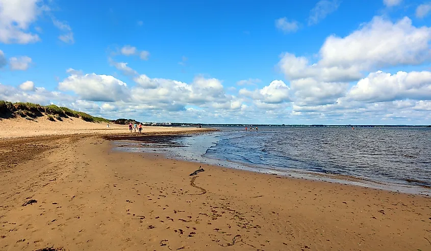 Sandy beach with gentle waves under a bright blue sky with fluffy clouds. A few people walk along the shore, evoking a serene and peaceful mood.