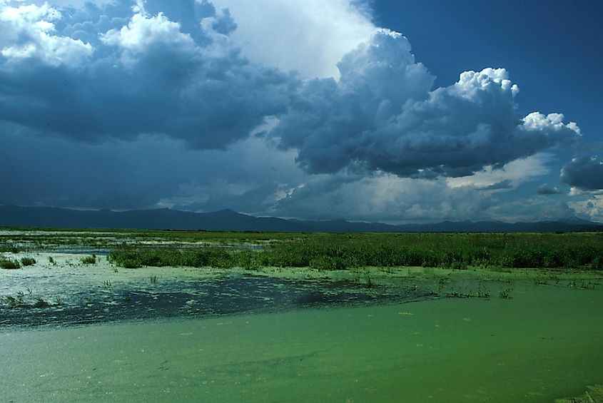 The landscape of the Klamath Basin, the watershed of the Klamath River in southern Oregon and northern California