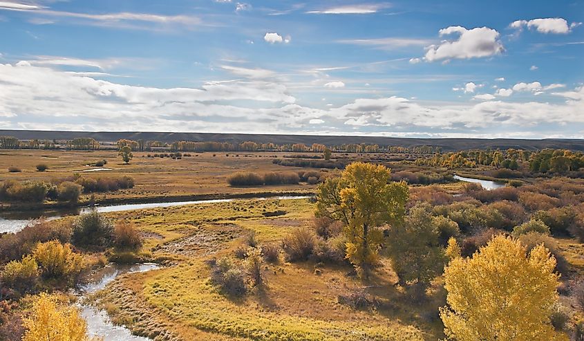 Late evening and Fall colors on the foliage decorate the New Fork River near Pinedale Wyoming.