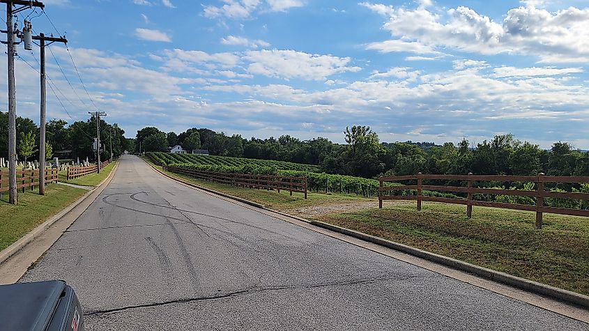 Augusta Wine Region in Missouri.