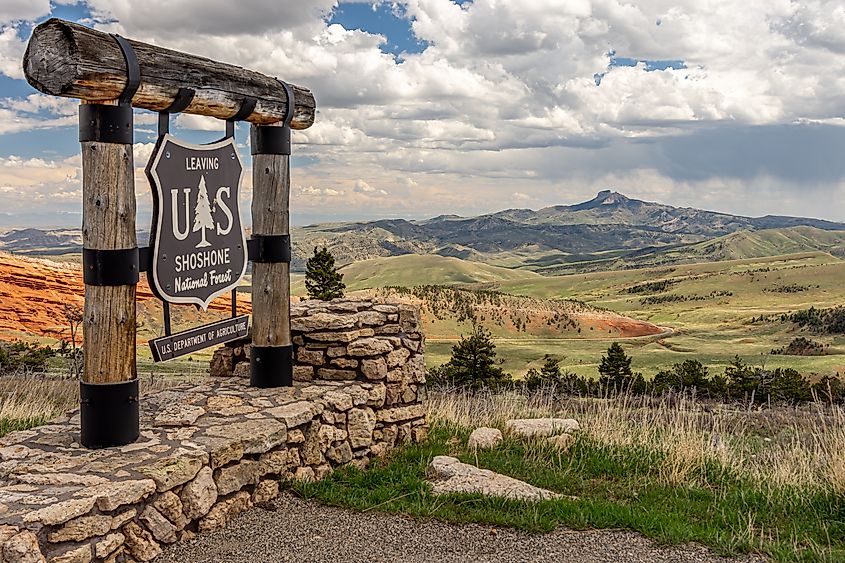 Sign for the Shoshone National Forest near the Beartooth Highway.