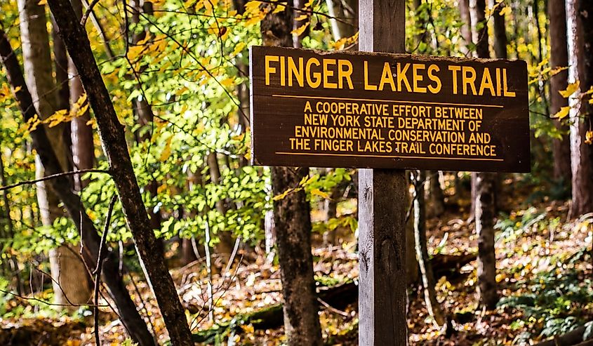 Trailhead sign for Finger Lakes Trail in Western Catskill Mountains.
