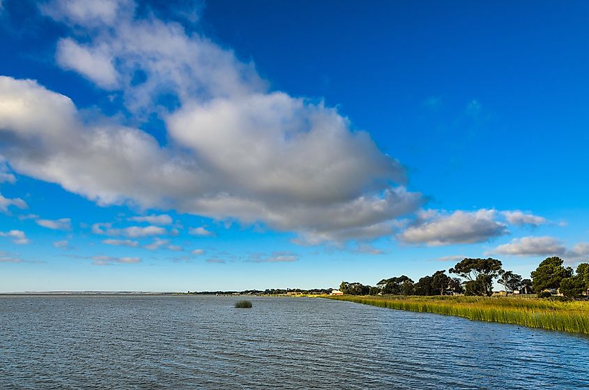 Lake Albert shore in Meningie, South Australia