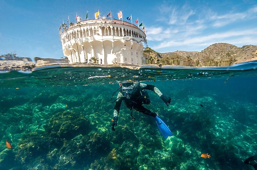 A young male scuba diver at Santa Catalina Island, California