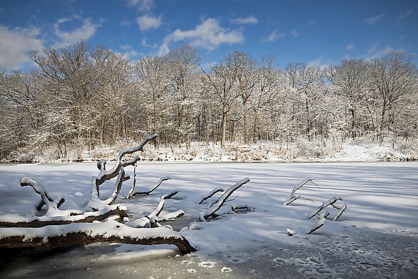 The Morton Arboretum in Lisle, Illinois.