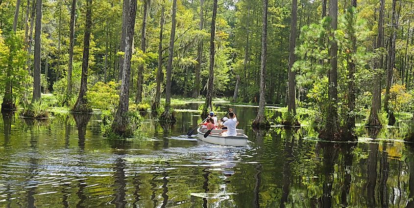 Visitors enjoying a boat ride in the Cypress Gardens of Moncks Corner, South Carolina.