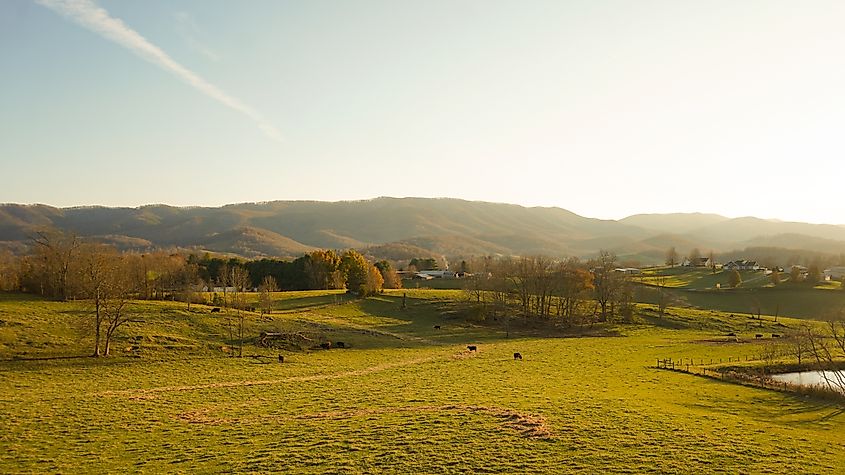 Damascus, Virginia: A peaceful view of the Appalachian Mountains and farmland in Southwest Virginia, capturing the rural charm and agricultural heritage of the region. Brendon Bordwine via Shutterstock 2024