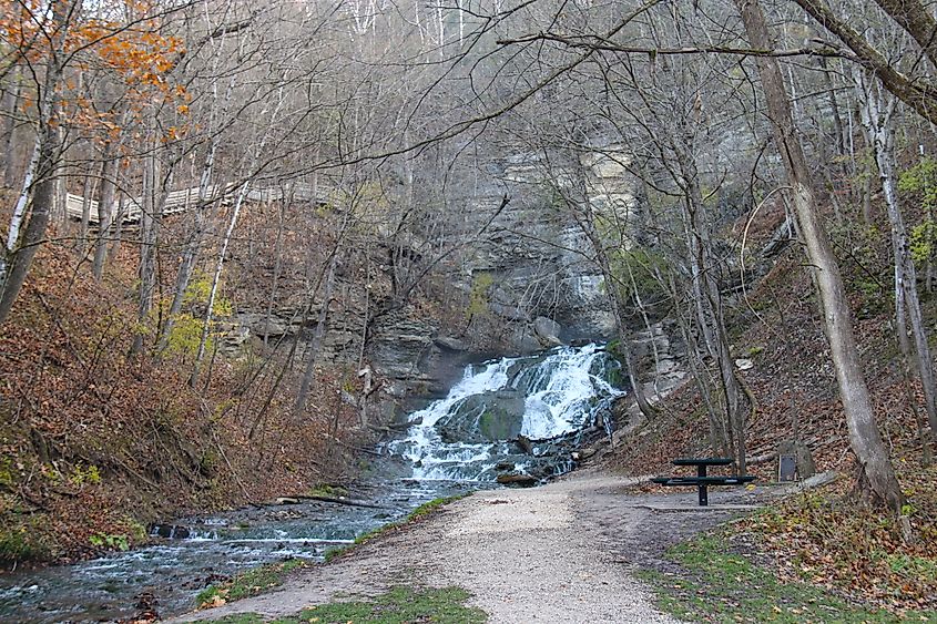 Dunning Springs Waterfall